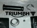 Triumph REAR Footpeg Rebuild Kit